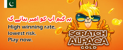 پاکستان کا نمبر ون پلیٹ فارم
