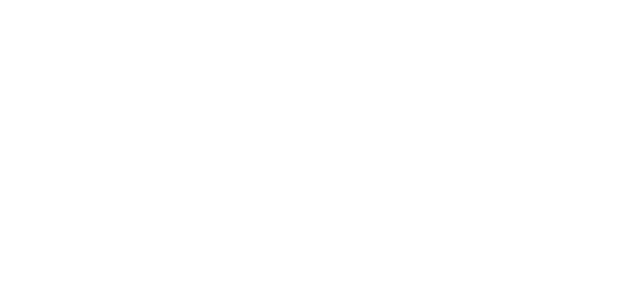 پاک نیٹ logo