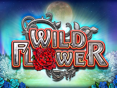 Wild Flower cover image